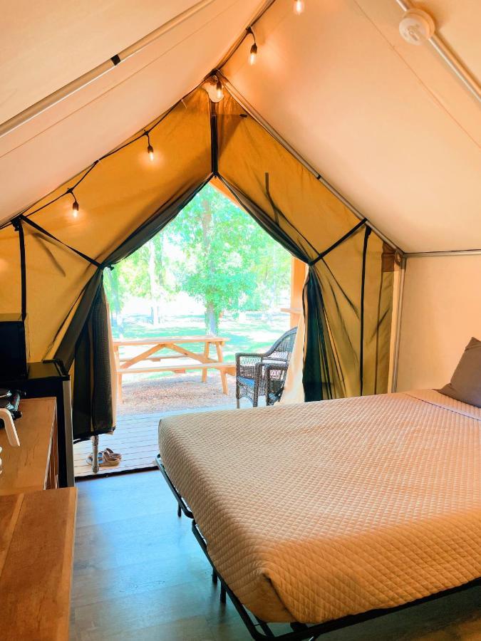 Son'S Blue River Camp Glamping Cabin #14 This Is The Place You'Ve Been Searching For! Kingsbury Buitenkant foto